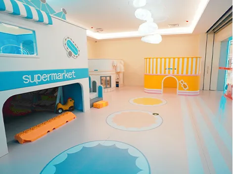 Themed Entertainment Parks Playground Solution